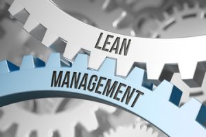 Lean Management in Practice